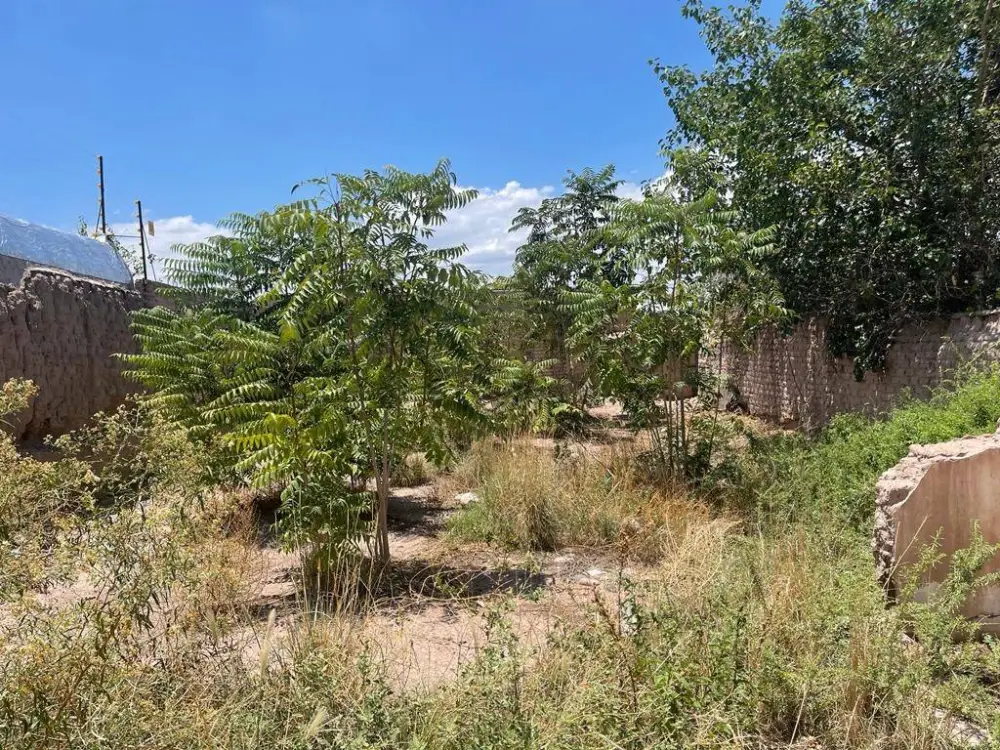 Lote de 359 m² en Dorrego, foto 4