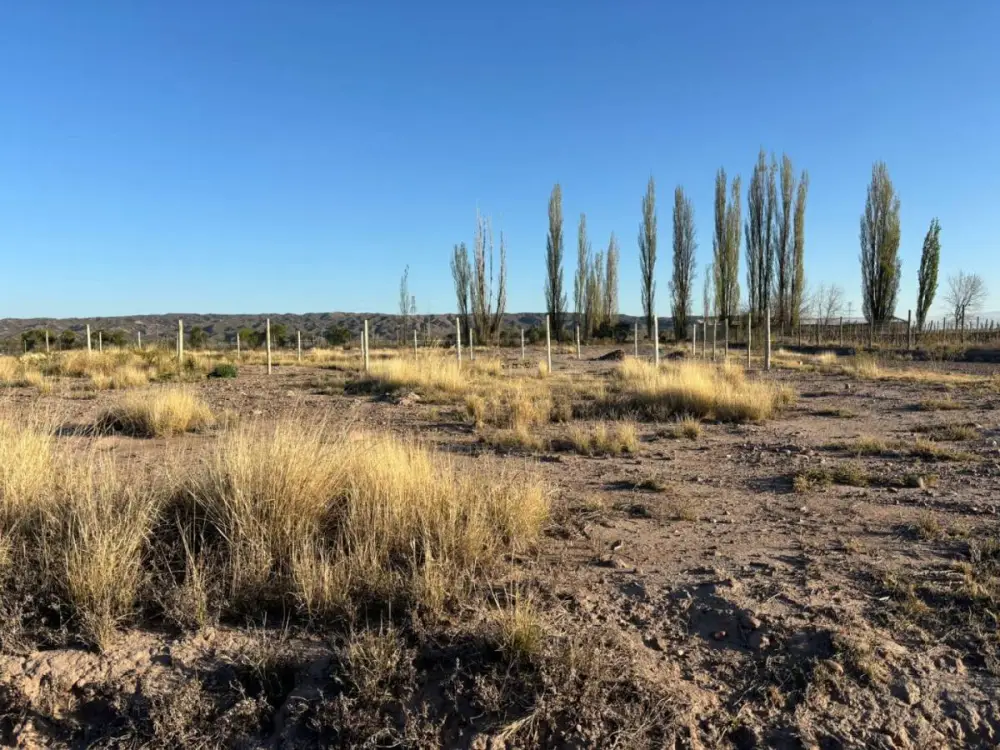 Lote de 614 m² en Lunlunta, foto 2