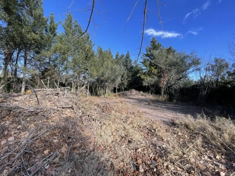 Lote de 1.400 m² en Vistalba, foto 4