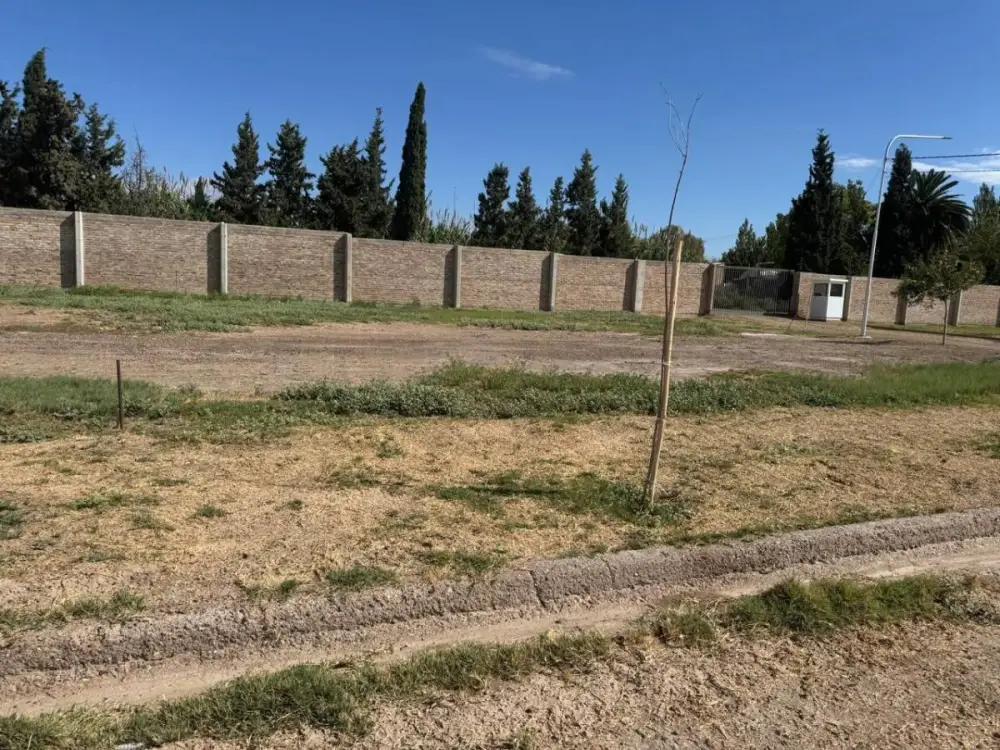 Lote de 477 m² en El Sauce, foto 4