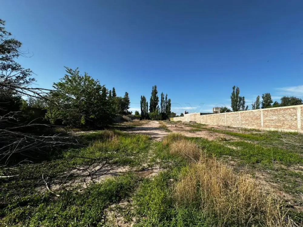 Lote de 3.664 m² en Chacras de Coria, foto 3