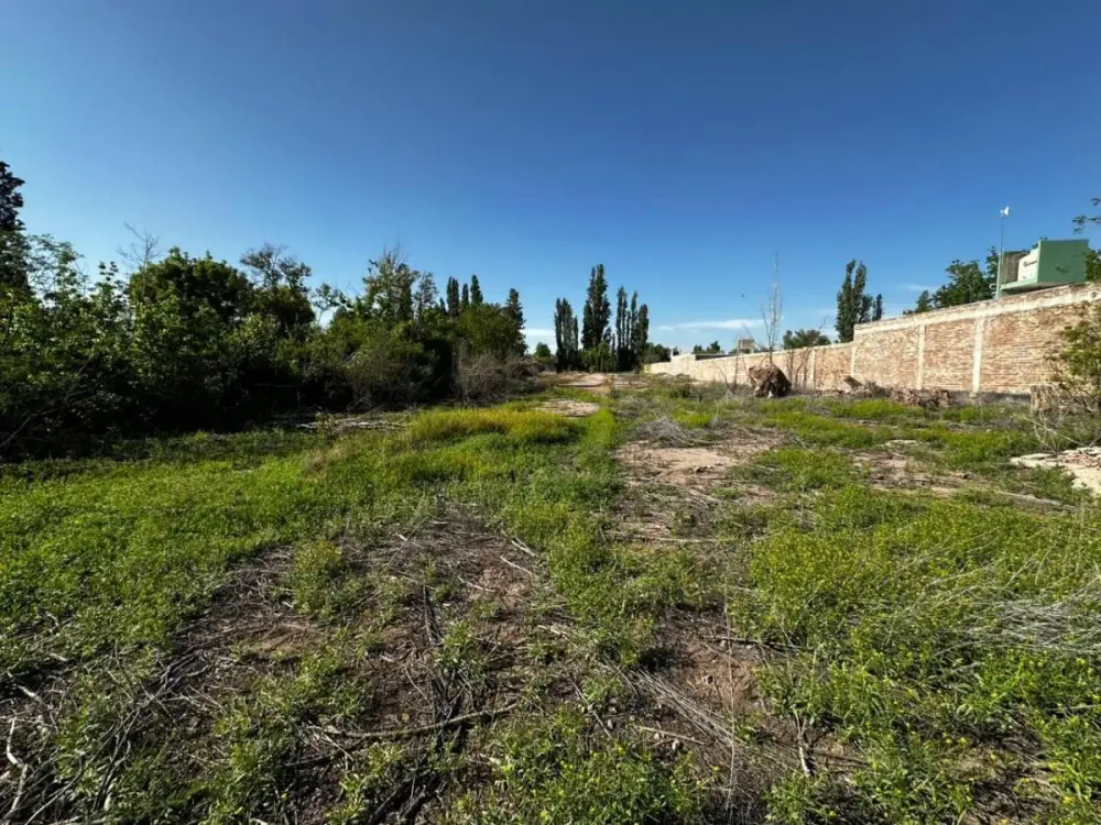 Lote de 3.664 m² en Chacras de Coria, foto 4