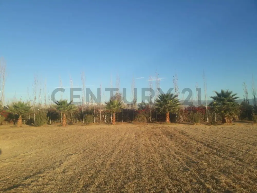Lote de 2.000 m² en Los Corralitos, foto 3