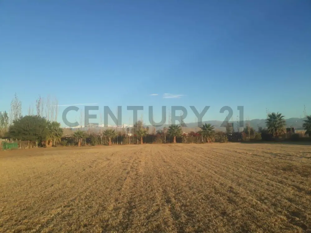 Lote de 2.000 m² en Los Corralitos, foto 4