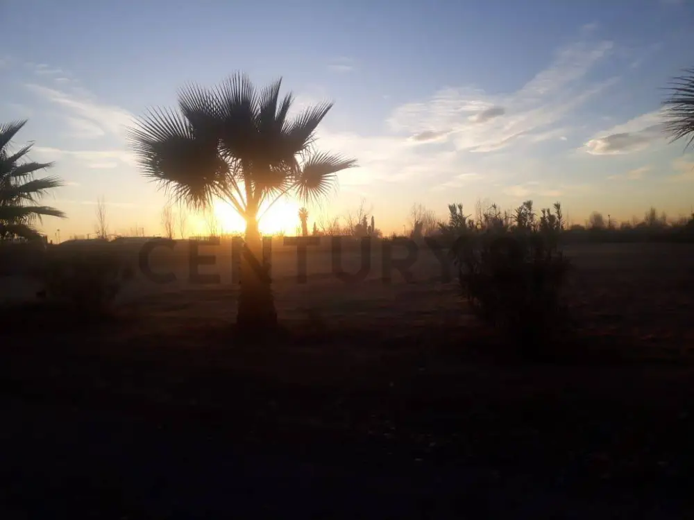 Lote de 2.000 m² en Los Corralitos, foto 5
