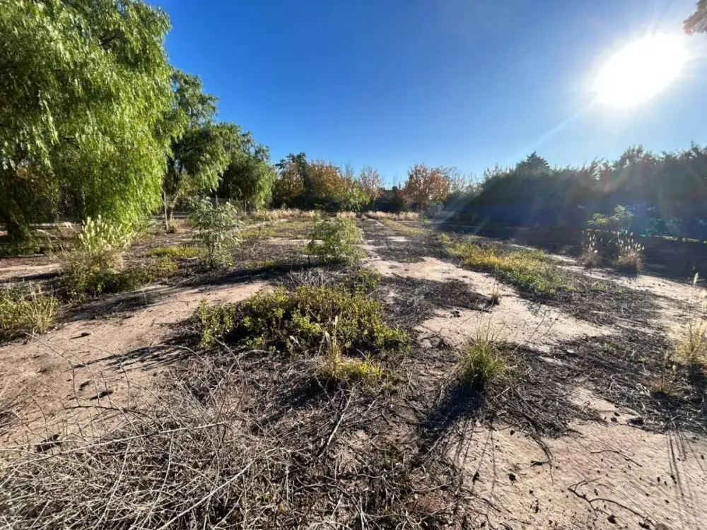 Lote de 1.292 m² en Maipú, foto 3