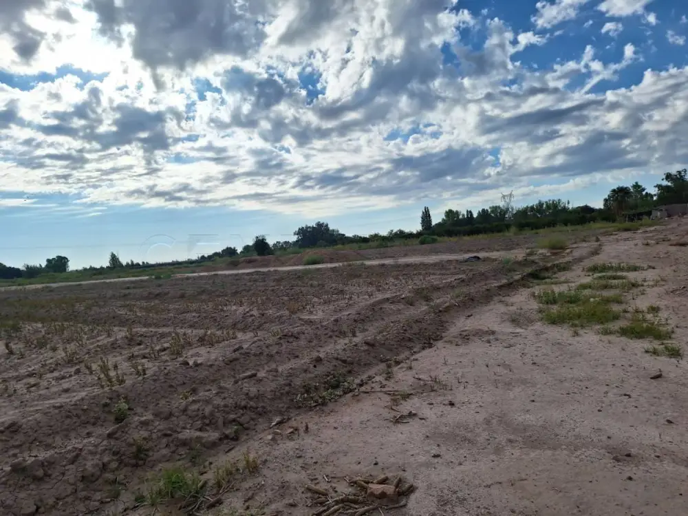 Lote de 20.000 m² en Kilómetro 11, foto 2
