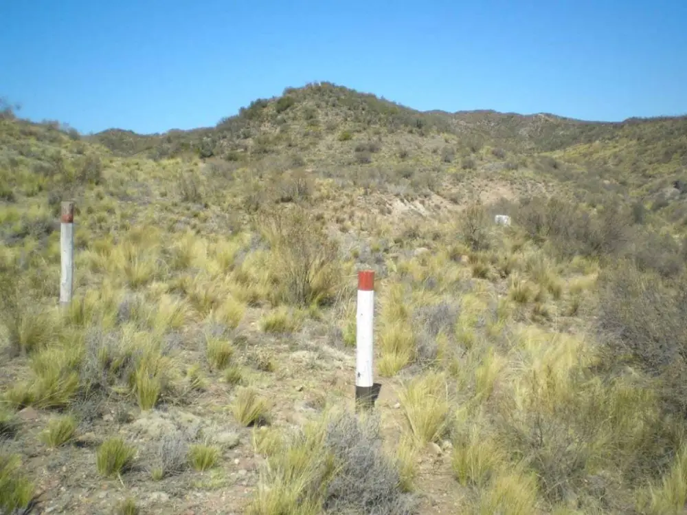 Lote de 10.000 m² en Luján de Cuyo, foto 2