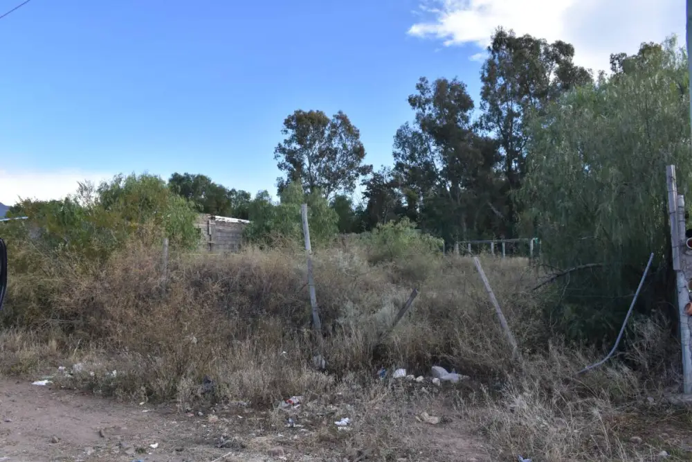 Lote de 1.000 m² en Luján de Cuyo, foto 2