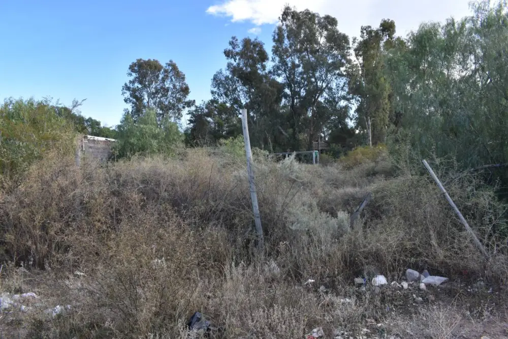 Lote de 1.000 m² en Luján de Cuyo, foto 3