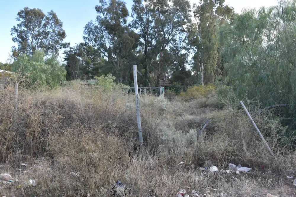 Lote de 1.000 m² en Luján de Cuyo, foto 4