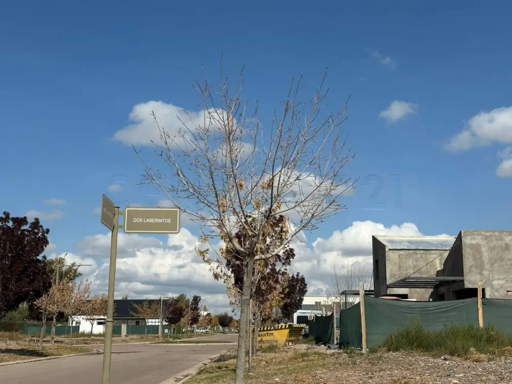 Lote de 553 m² en Luján de Cuyo, foto 4