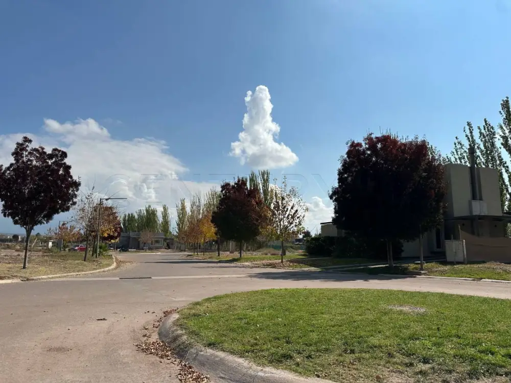 Lote de 553 m² en Luján de Cuyo, foto 5