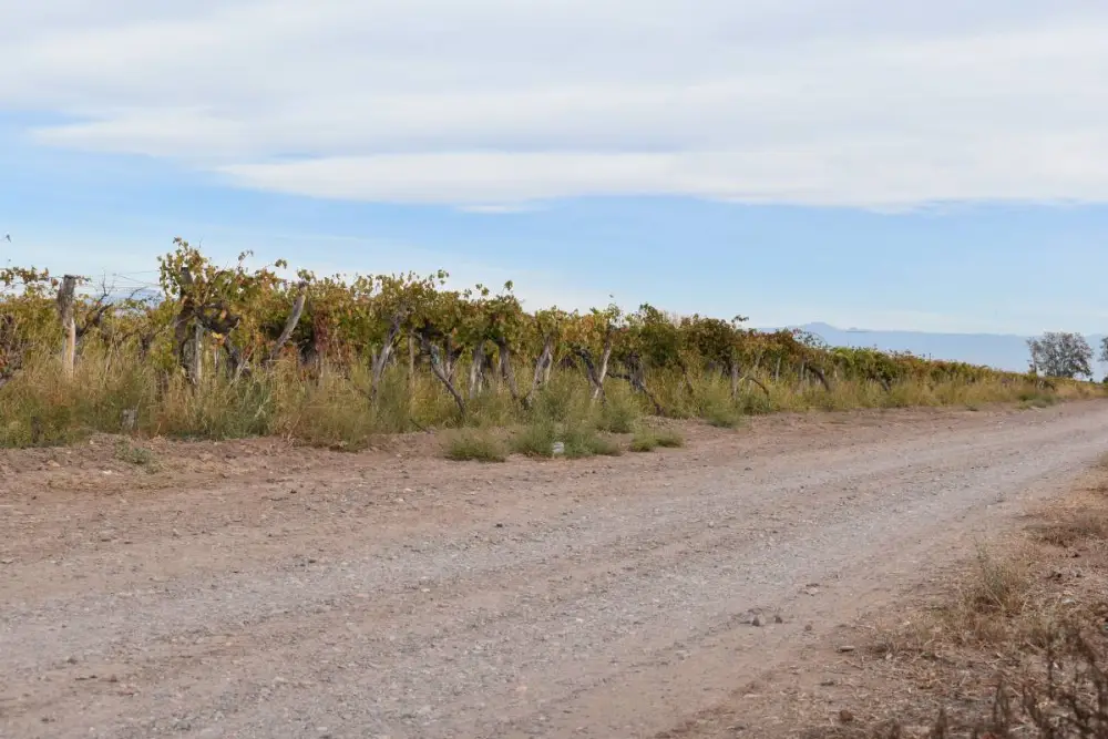 Campo de 10,0 ha en General San Martín, foto 2