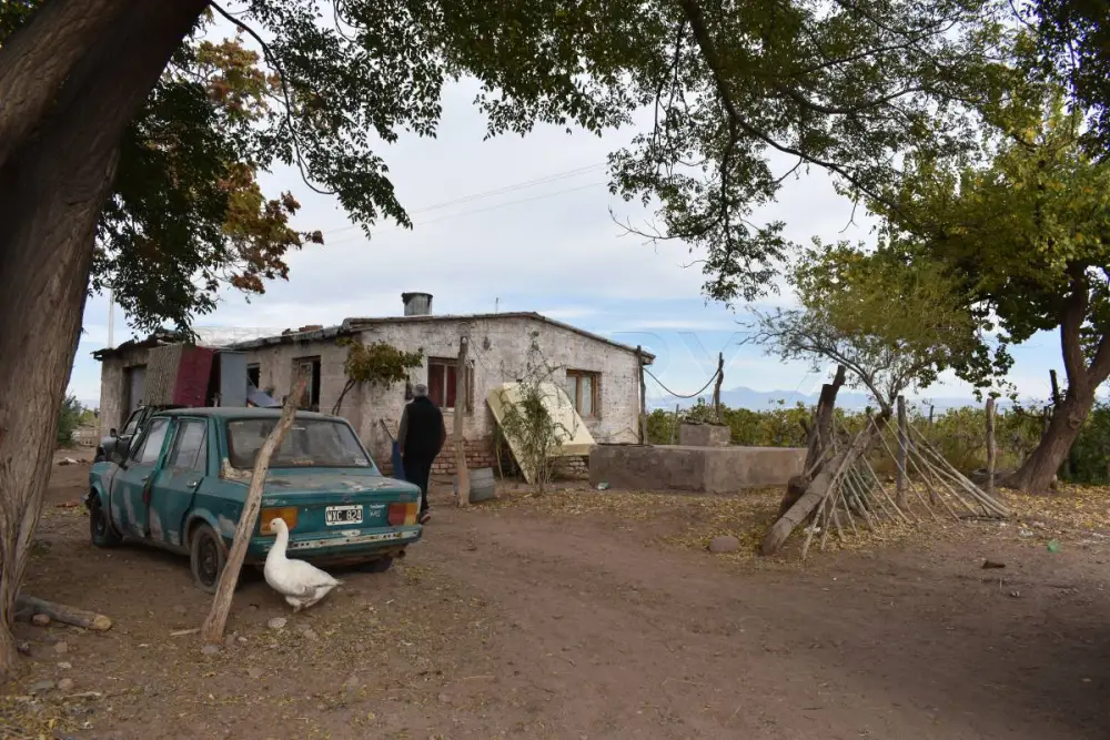Campo de 10,0 ha en General San Martín, foto 4