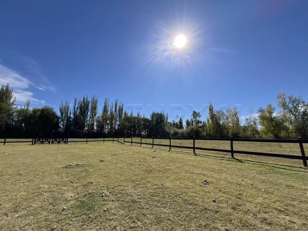 Lote de 5.000 m² en Tunuyán, foto 3