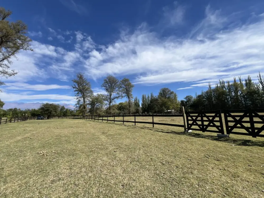 Lote de 5.000 m² en Tunuyán, foto 4