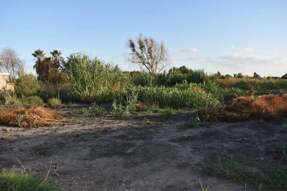 Lote de 1.000 m² en Guaymallén, foto 2