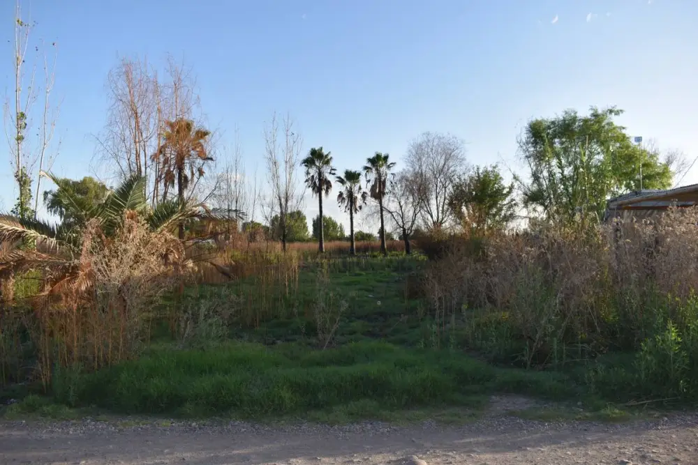 Lote de 1.000 m² en Guaymallén, foto 5