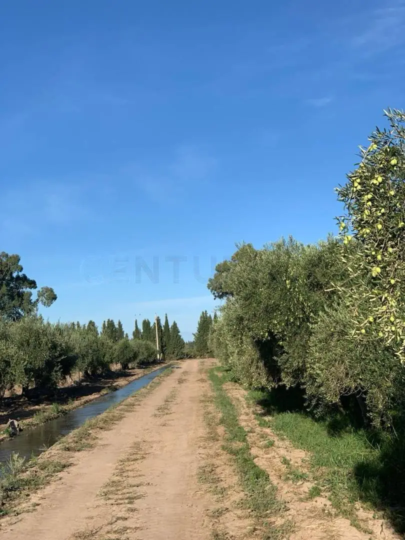 Campo de 30,0 ha en Lavalle, foto 4