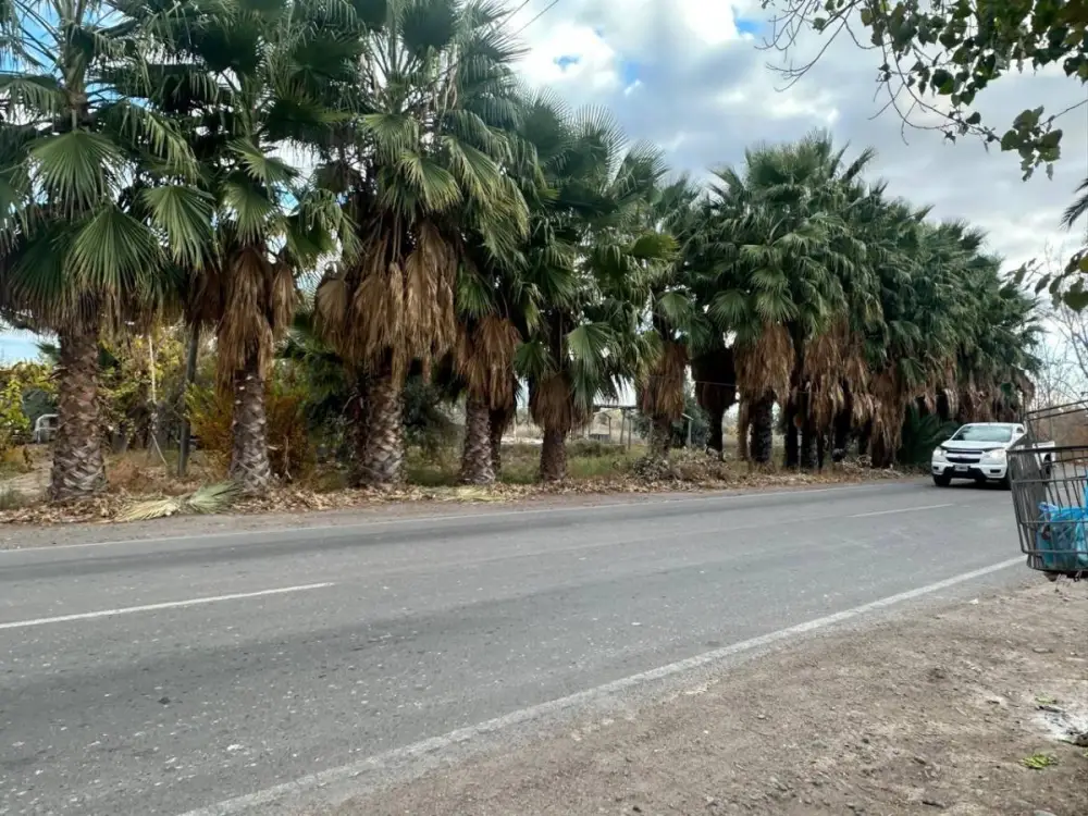 Lote de 70.000 m² en Rodeo del Medio, foto 2