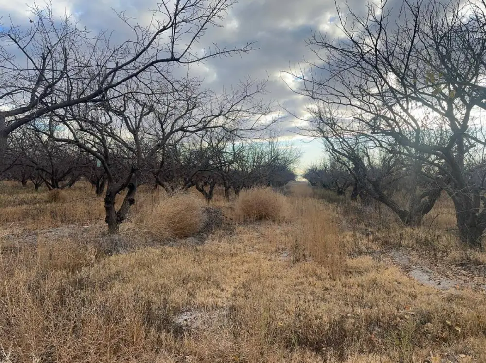 Lote de 70.000 m² en Rodeo del Medio, foto 5
