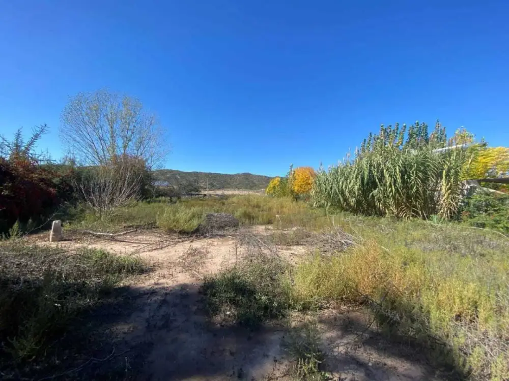 Lote de 2.020 m² en Luján de Cuyo, foto 3