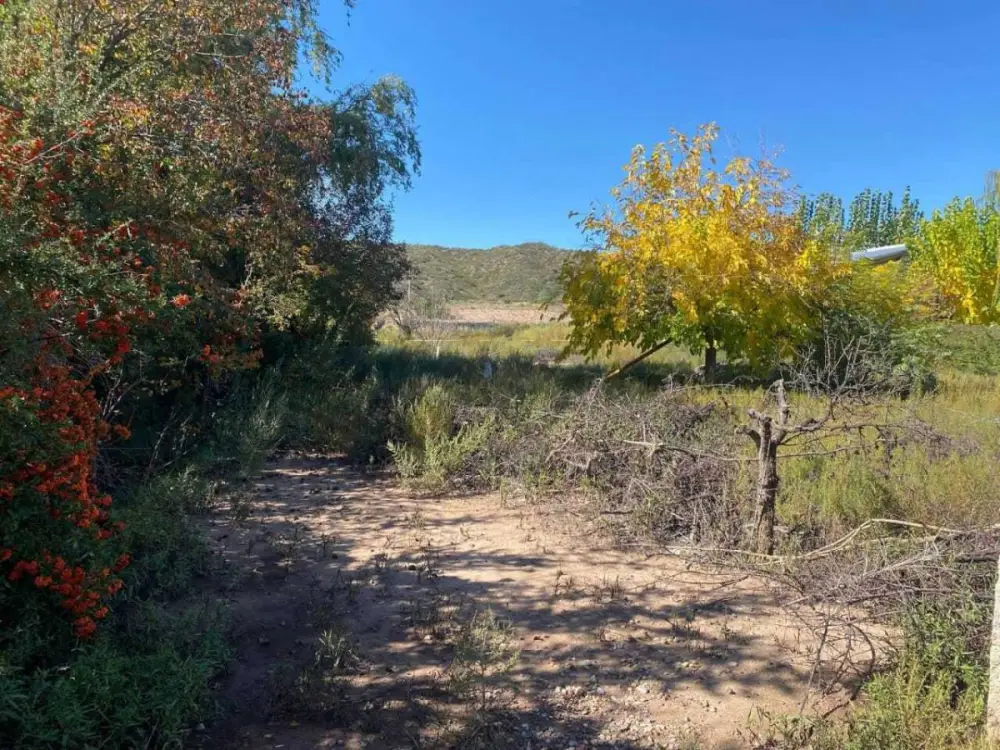 Lote de 2.020 m² en Luján de Cuyo, foto 5