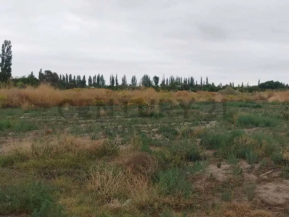 Lote de 7.142 m² en General San Martín, foto 2