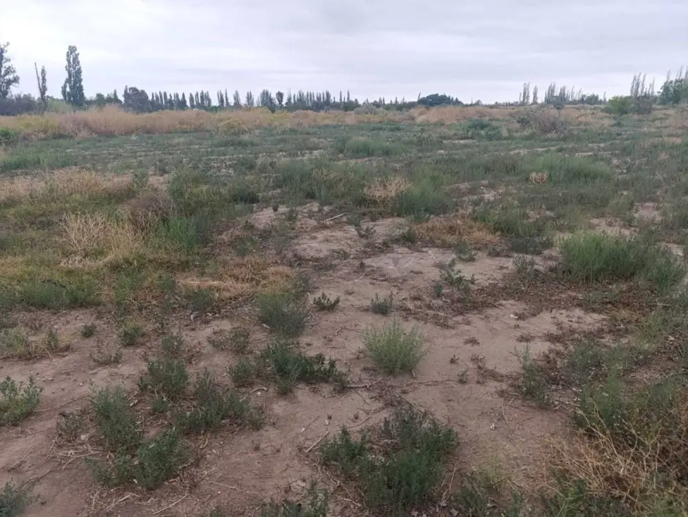 Lote de 7.142 m² en General San Martín, foto 3