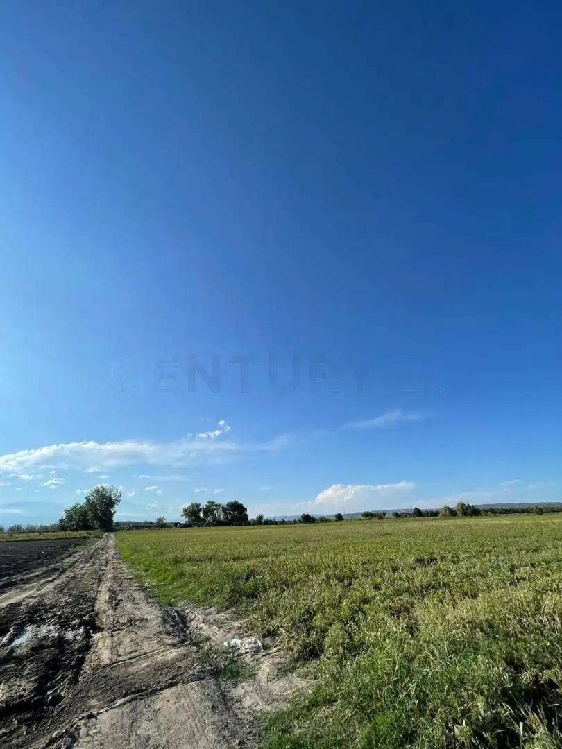 Quinta de 2 dormitorios en Tupungato, foto 3