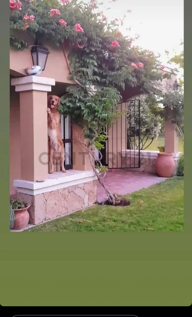 Casa de 4 dormitorios en Maipú, foto 5