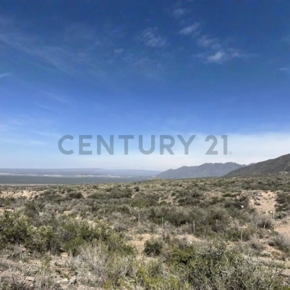 Lote de 2.000 m² en Luján de Cuyo, foto 5