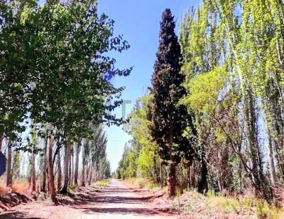 Lote de 40.000 m² en La Pega, foto 3