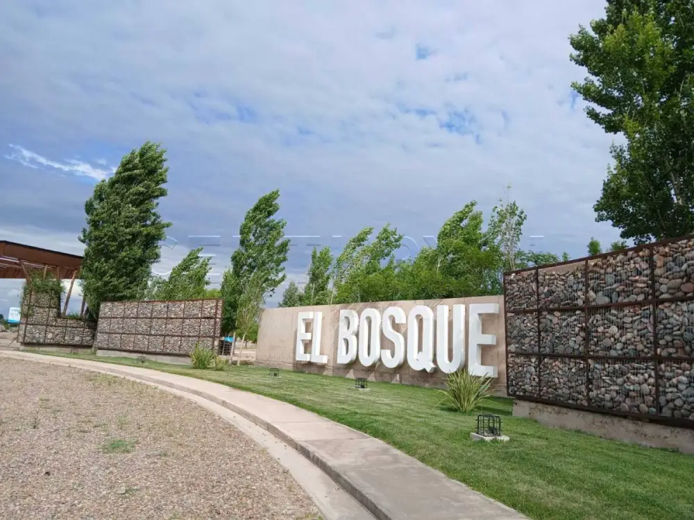 Lote de 300 m² en Rodeo del Medio, foto 2
