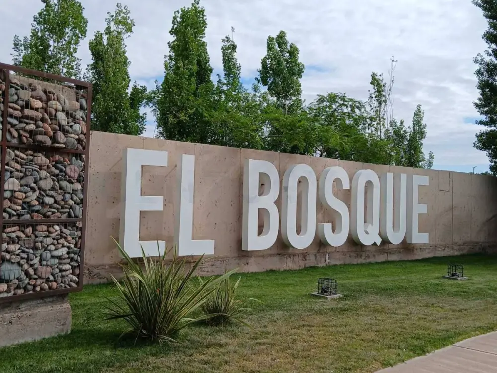 Lote de 300 m² en Rodeo del Medio, foto 4