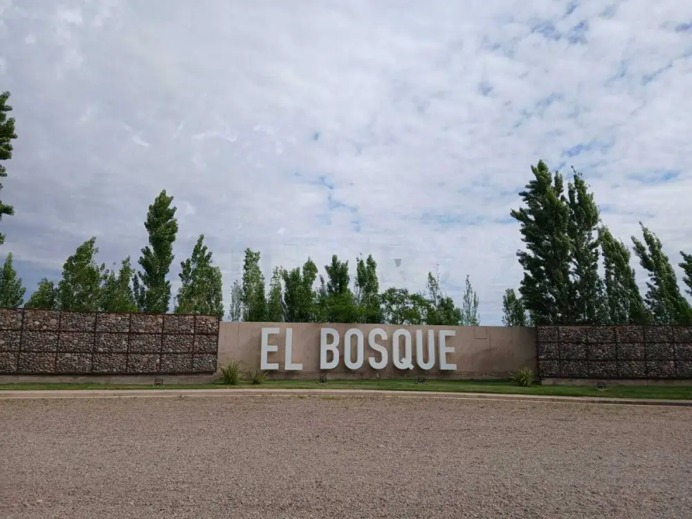 Lote de 300 m² en Rodeo del Medio, foto 5
