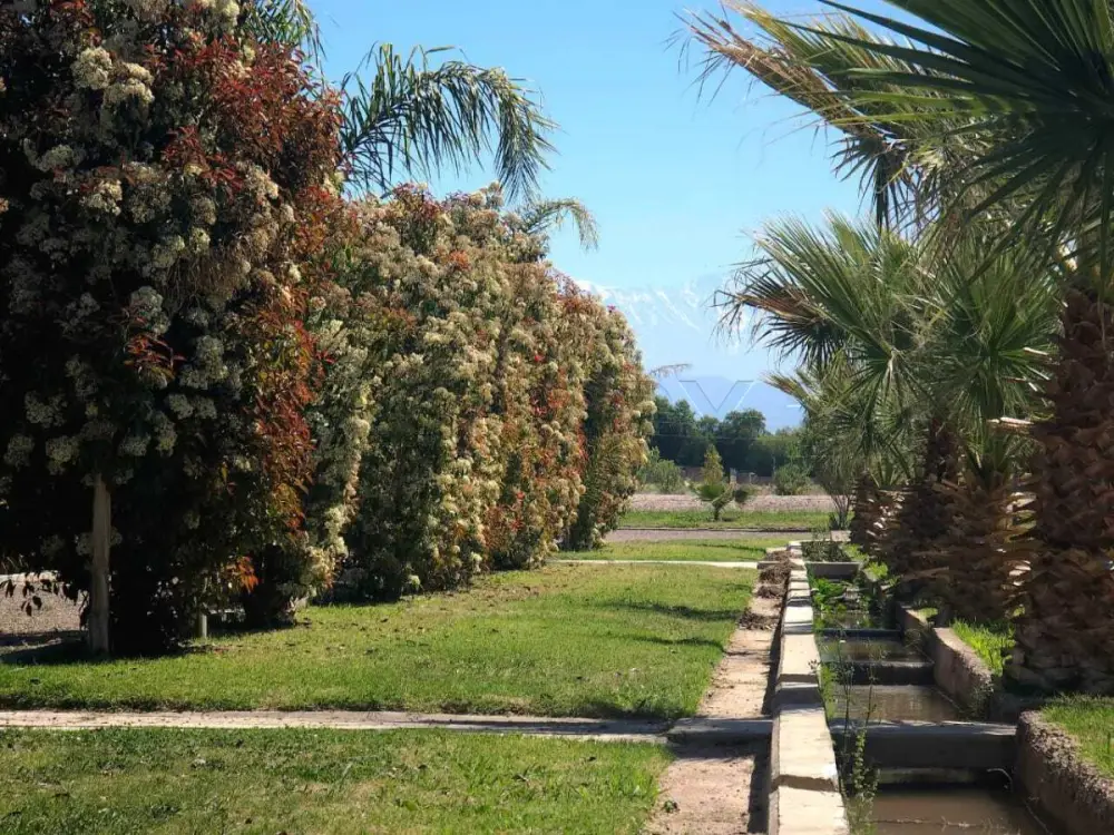 Lote de 500 m² en Maipú, foto 5