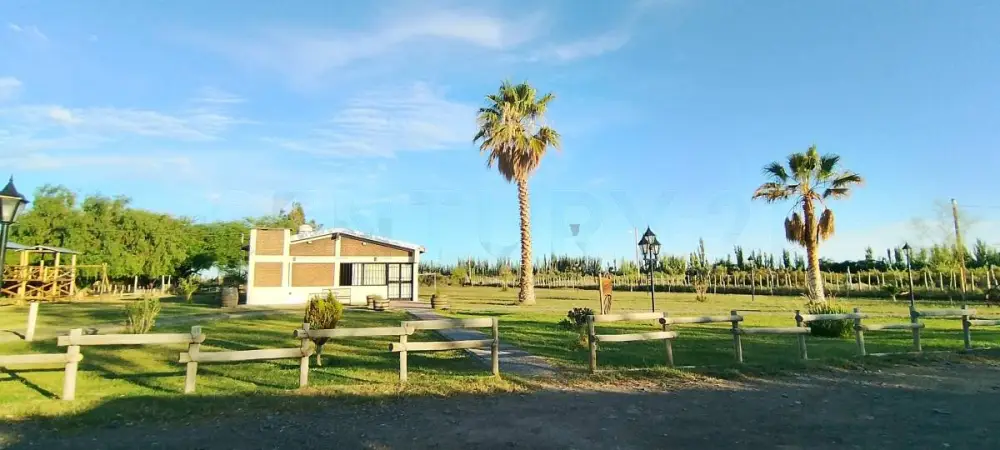 Quinta de 3 dormitorios en Jocolí Viejo, foto 4