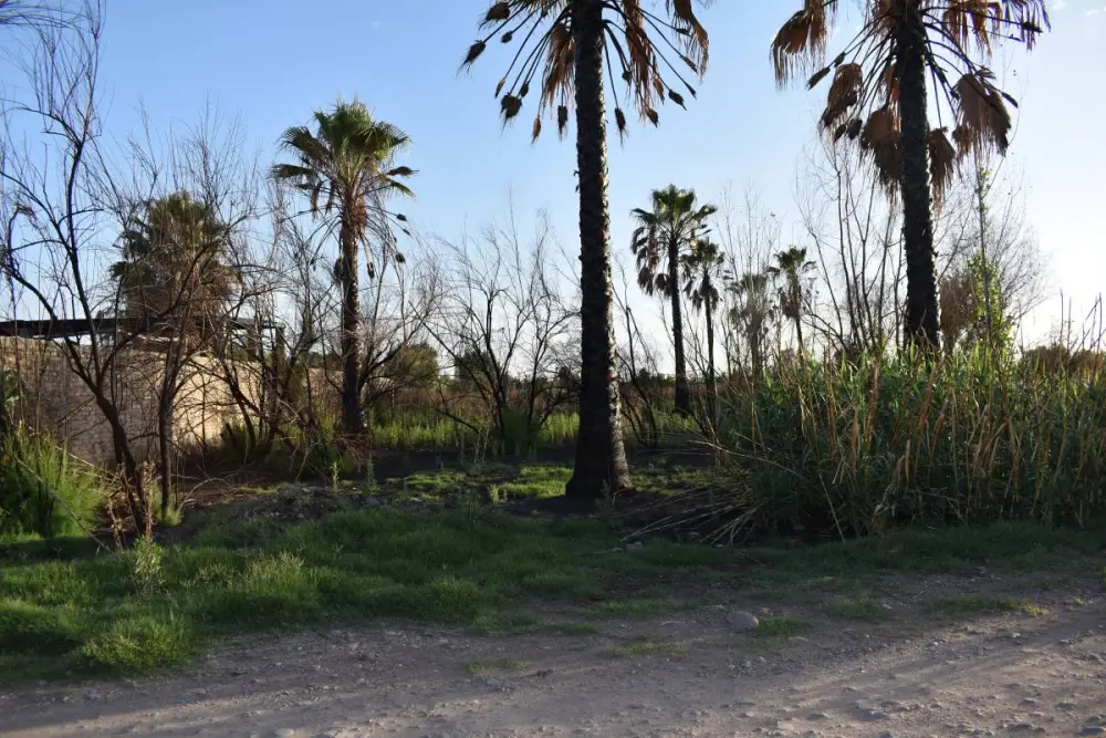 Lote de 1.000 m² en Guaymallén, foto 3