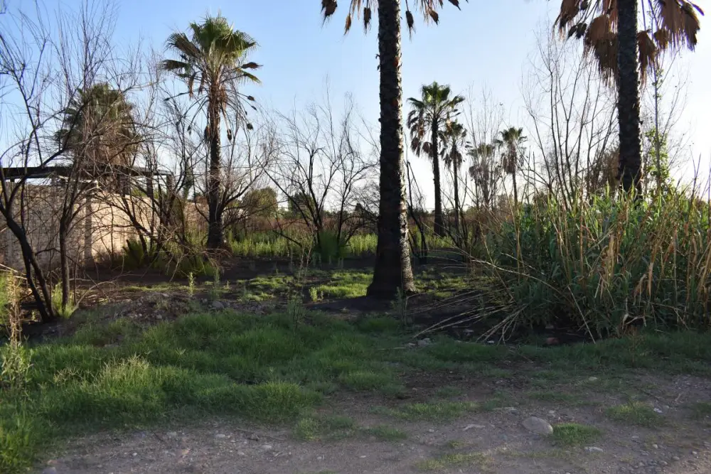 Lote de 1.000 m² en Guaymallén, foto 5