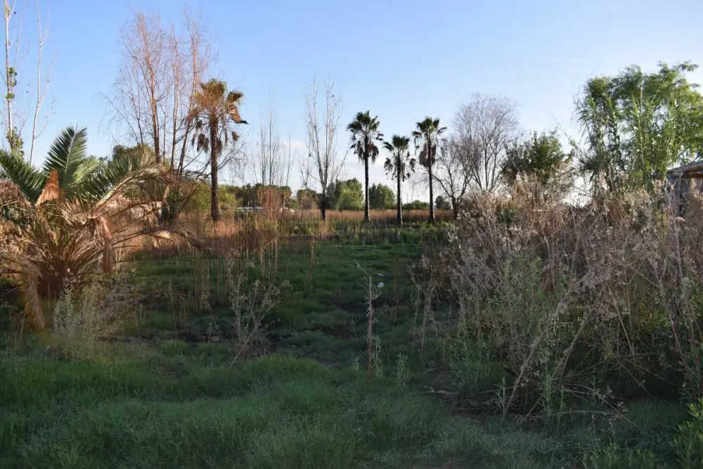 Lote de 1.000 m² en Guaymallén, foto 3