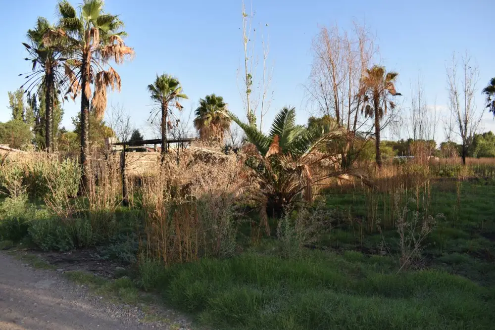 Lote de 1.000 m² en Guaymallén, foto 5