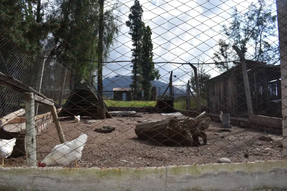 Fondo de comercio en Luján de Cuyo, foto 5
