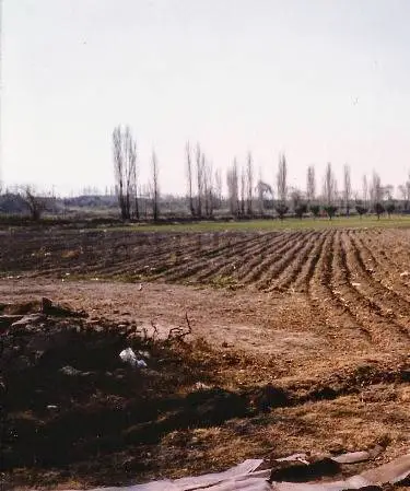 Inmueble productivo de 80.000 m² en Las Compuertas, foto 2
