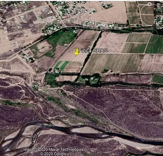 Inmueble productivo de 80.000 m² en Las Compuertas, foto 4