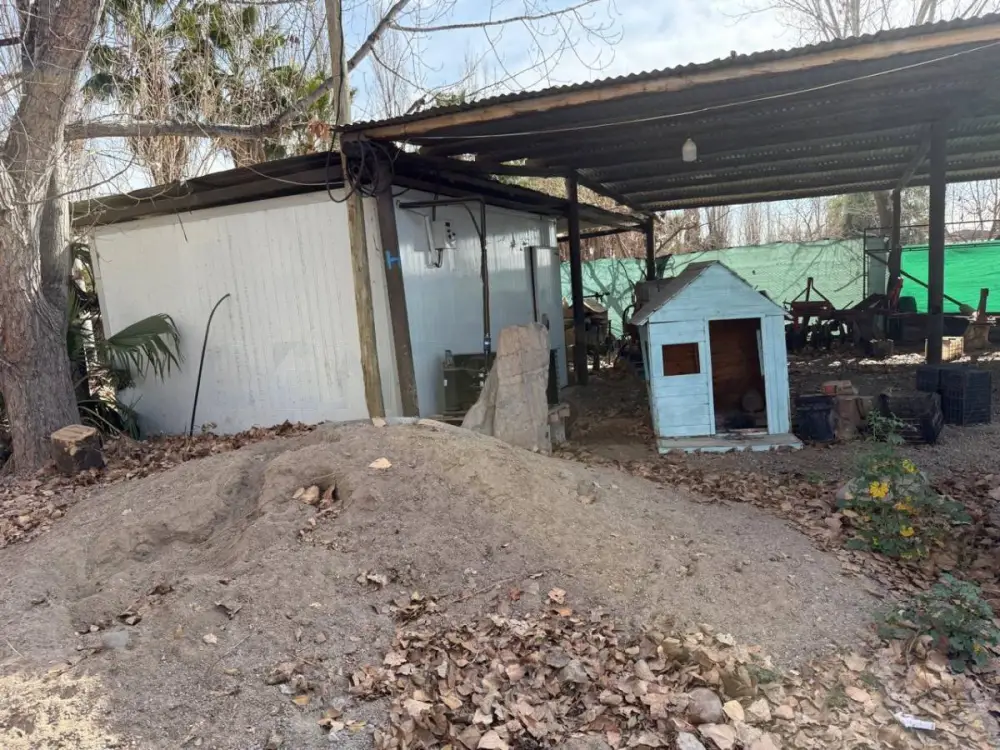 Campo de 71.631 m² en Rodeo del Medio, foto 5