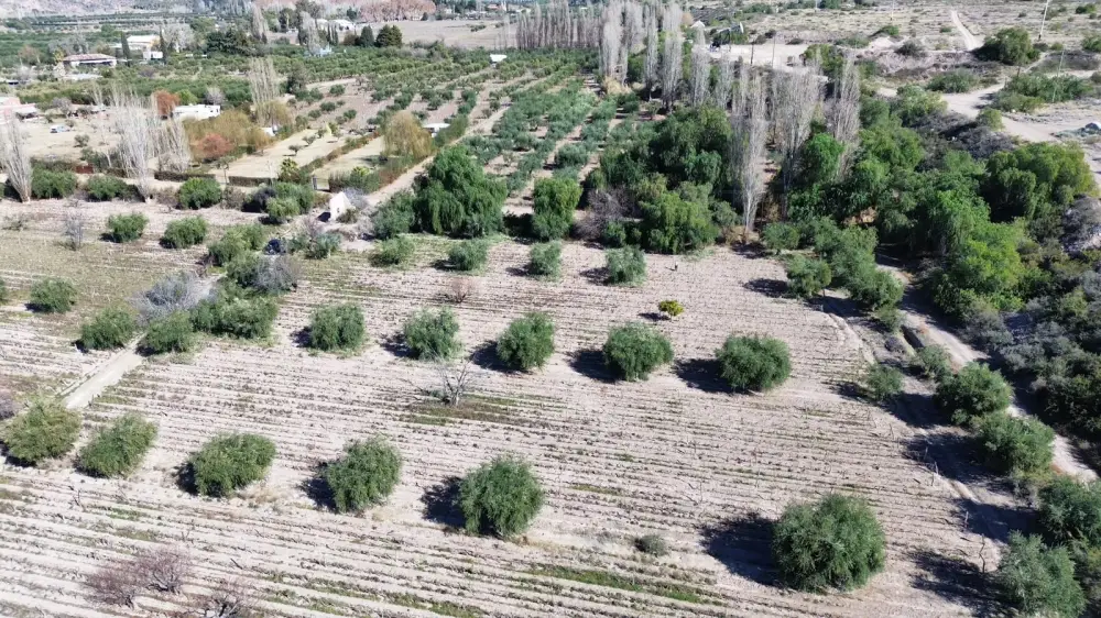 Campo de 16.800 m² en Lunlunta, foto 2