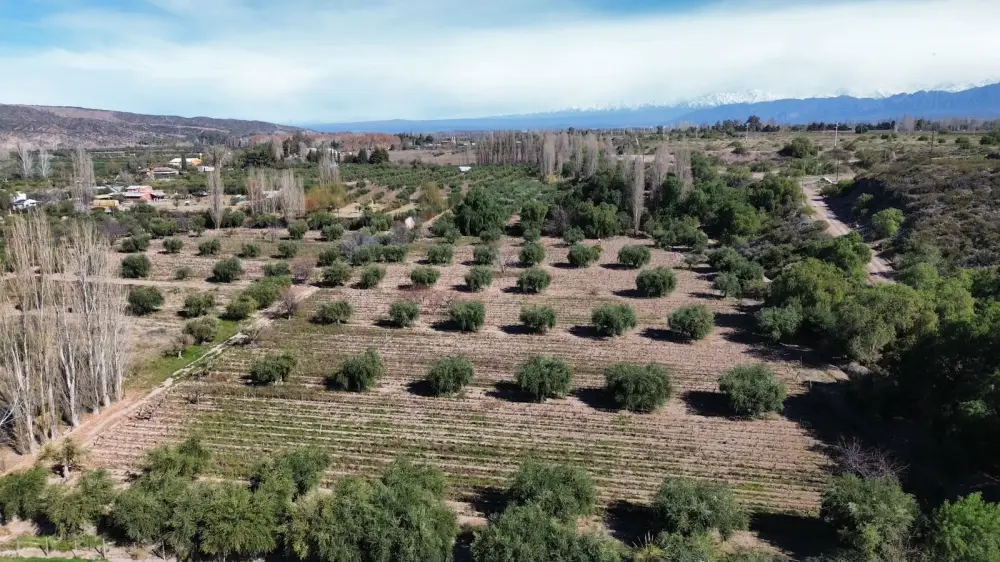 Campo de 16.800 m² en Lunlunta, foto 3