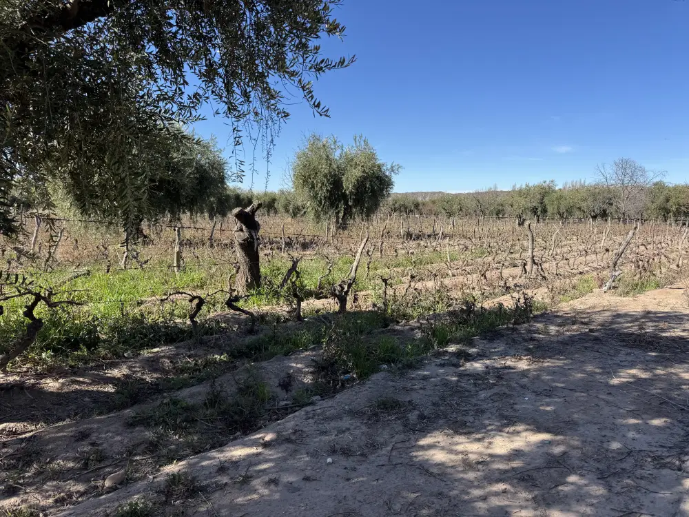 Campo de 16.800 m² en Lunlunta, foto 5